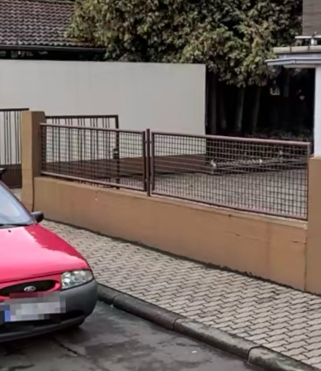 Alte, verrostete Gitterzaunfelder auf der Hofmauer vor dem Austausch