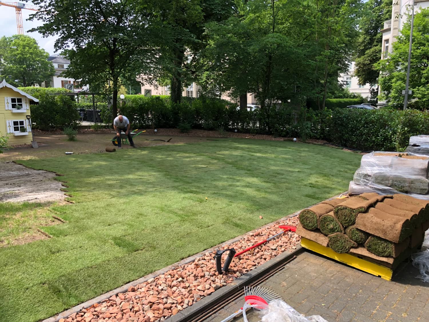 Rollrasen wird auf einer großen Gartenfläche einer Stadtvilla verlegt, Paletten mit Rollrasen bereitgestellt