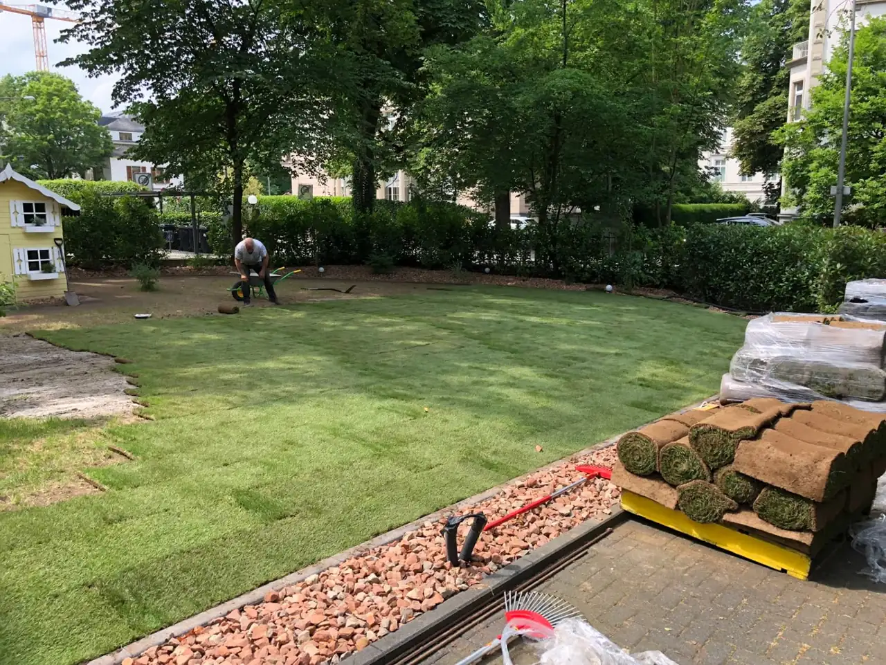 Rollrasen wird auf einer großen Gartenfläche einer Stadtvilla verlegt, Paletten mit Rollrasen bereitgestellt